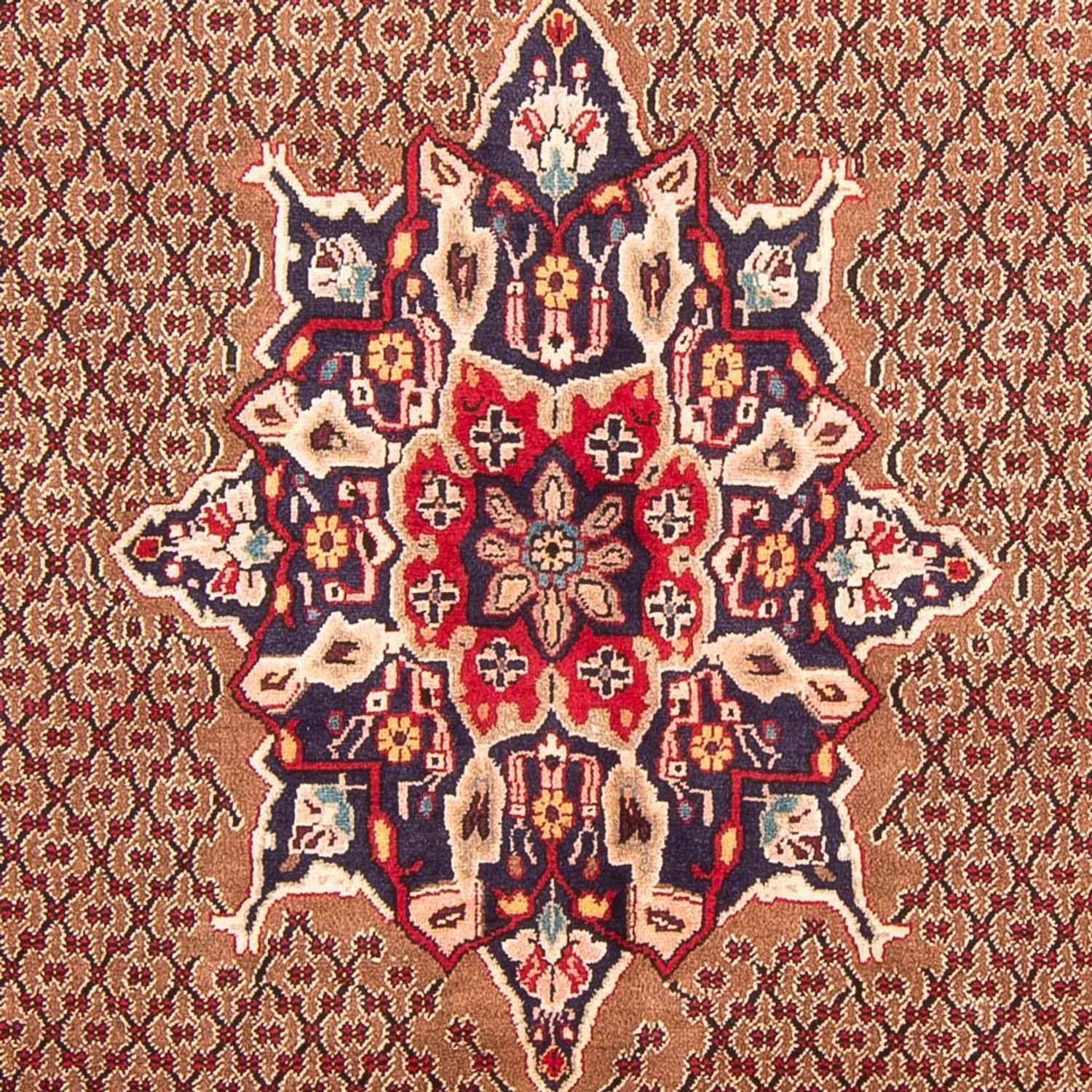 Persisk tæppe - Nomadisk - 300 x 152 cm - brun