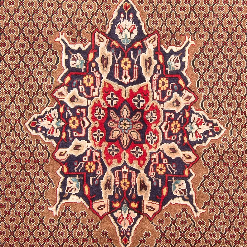 Persisk tæppe - Nomadisk - 300 x 152 cm - brun