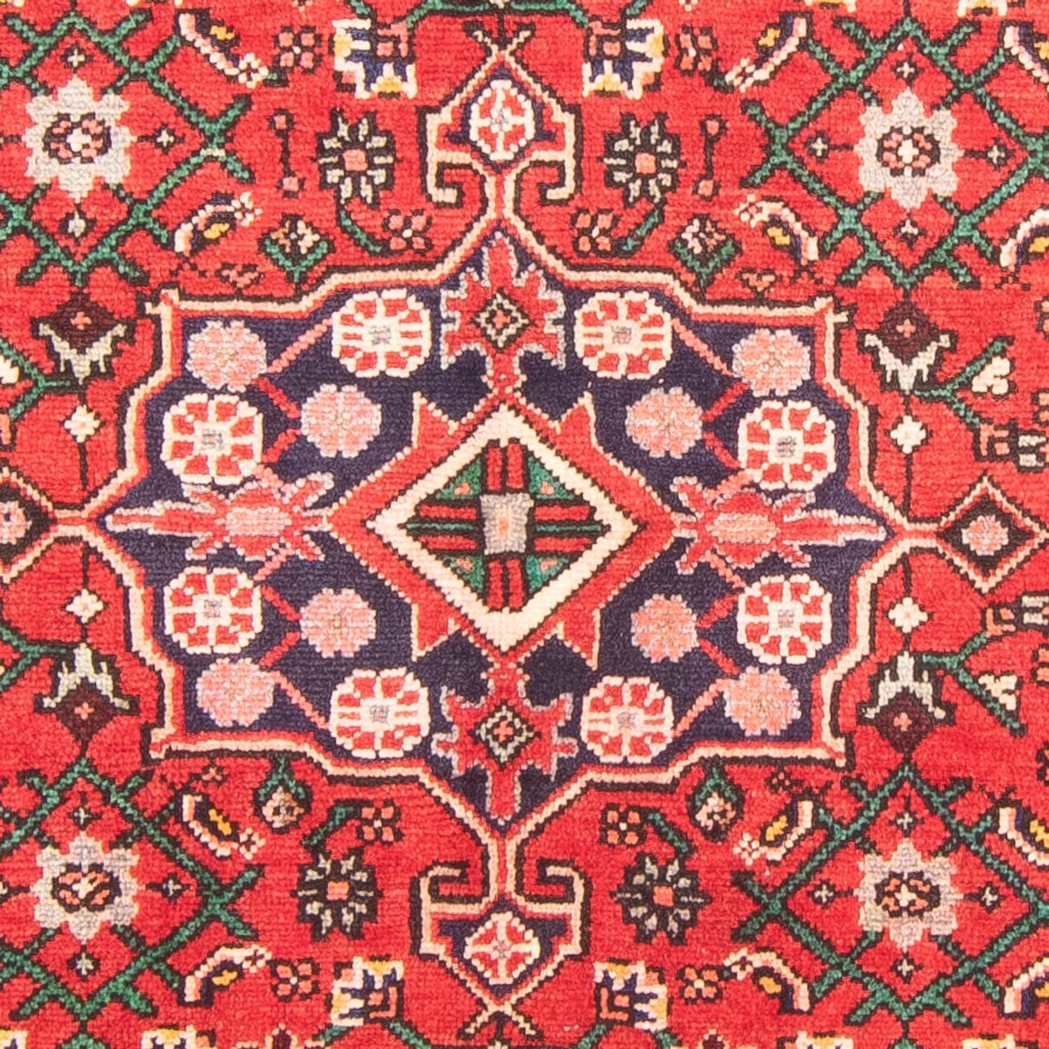 Persisk tæppe - Nomadisk - 288 x 154 cm - rød