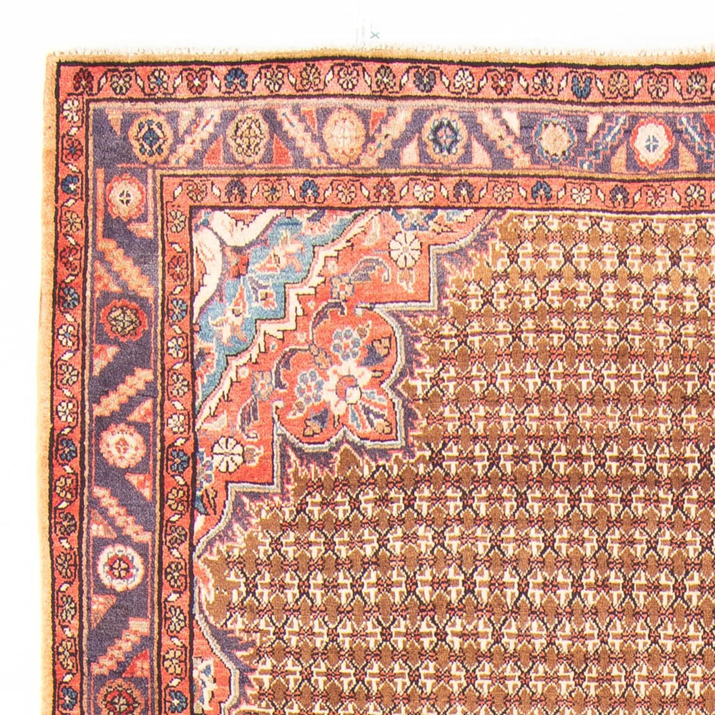 Kolyai Tæppe 310x155cm - Persisk tæppe