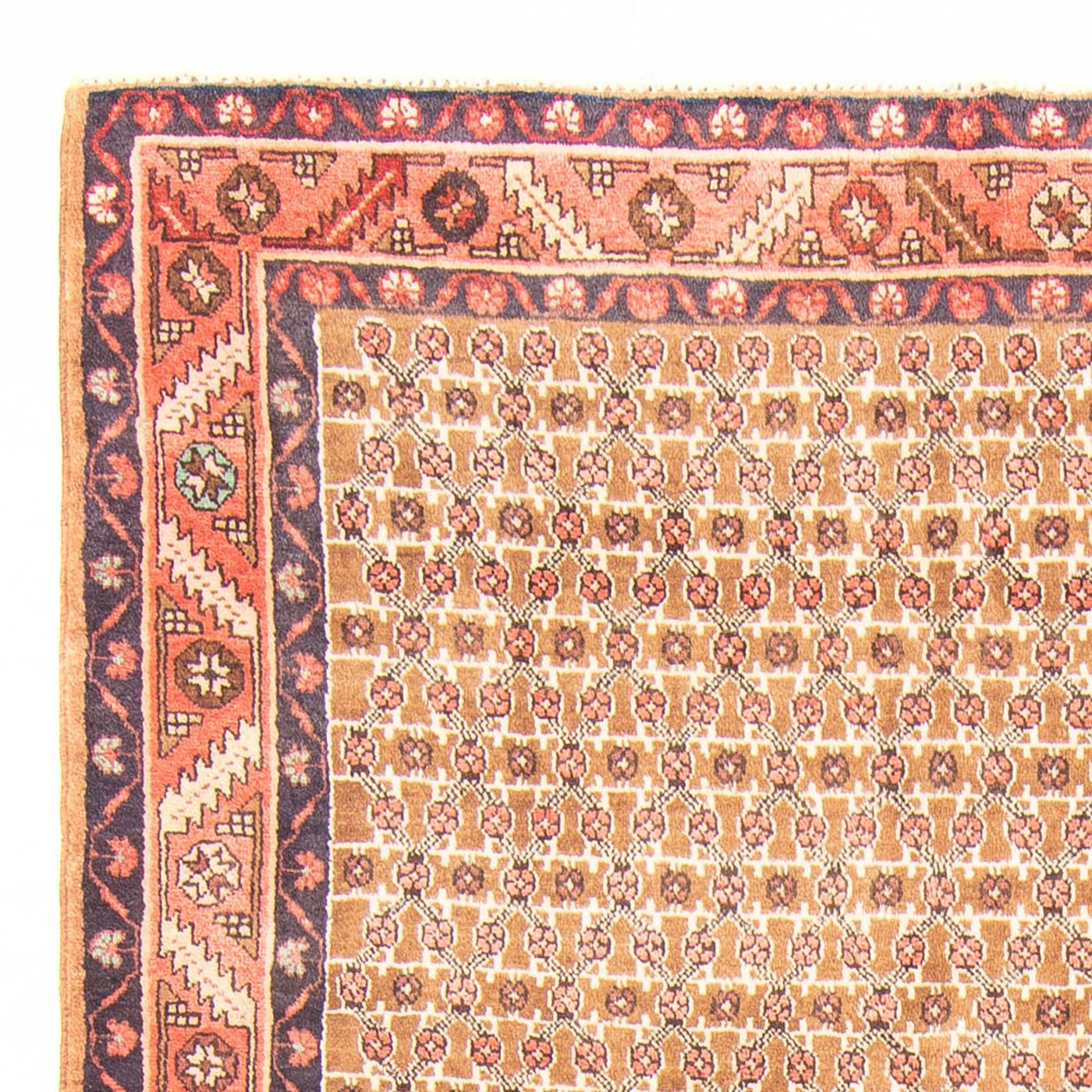 Kolyai Tæppe 343x146cm - Persisk tæppe