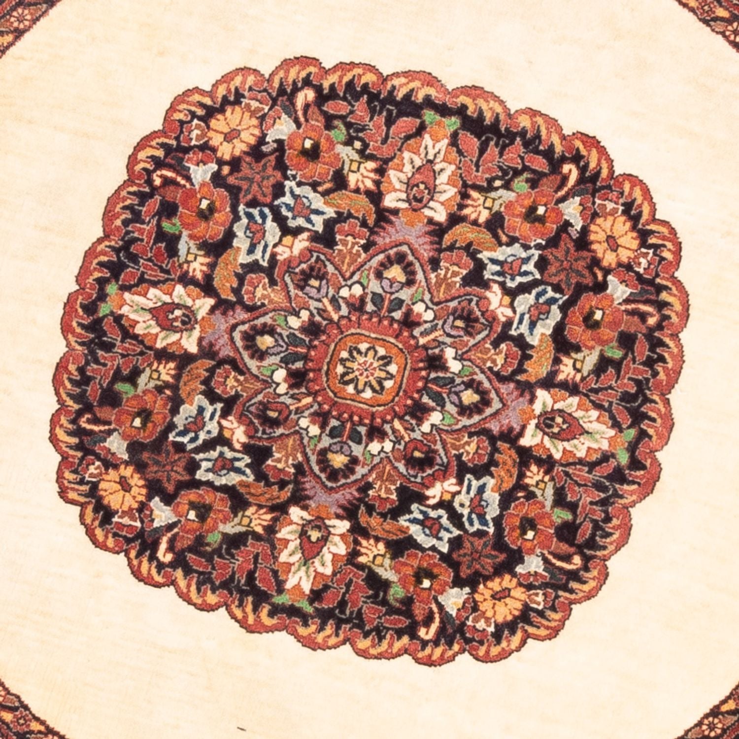 Persisk tæppe - Bijar - Royal rundt  - 100 x 100 cm - creme