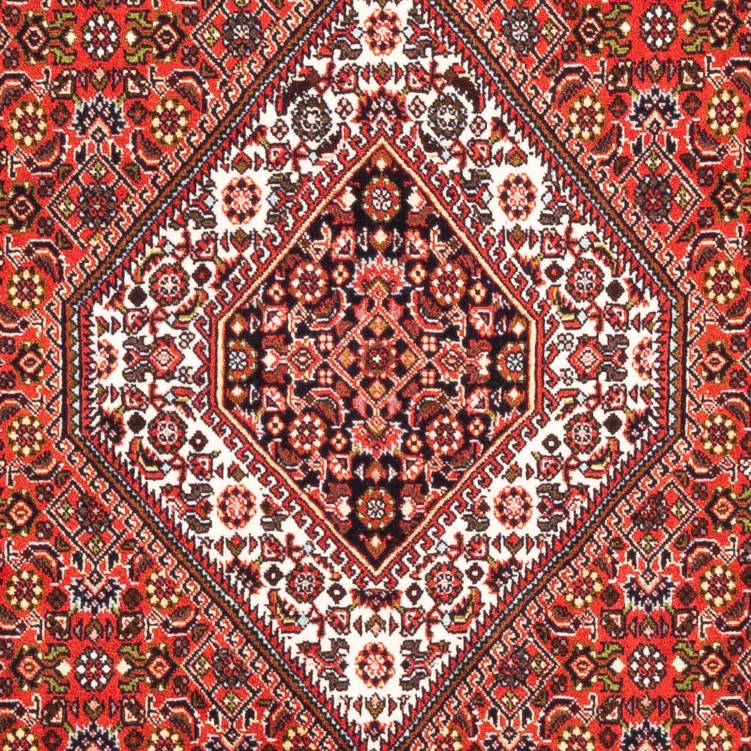 Persisk tæppe - Bijar - Royal - 178 x 108 cm - rød
