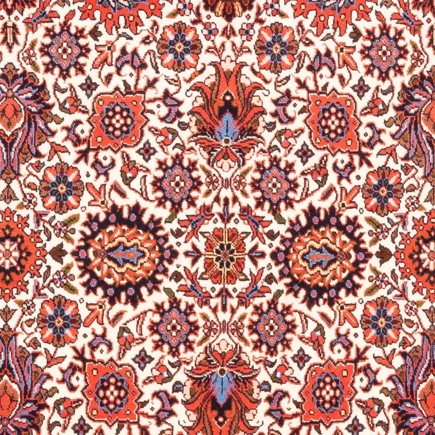 Persisk tæppe - Bijar - Royal - 180 x 108 cm - creme