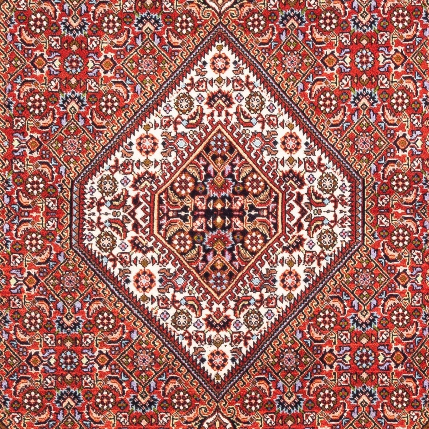 Persisk tæppe - Bijar - Royal - 176 x 108 cm - rød