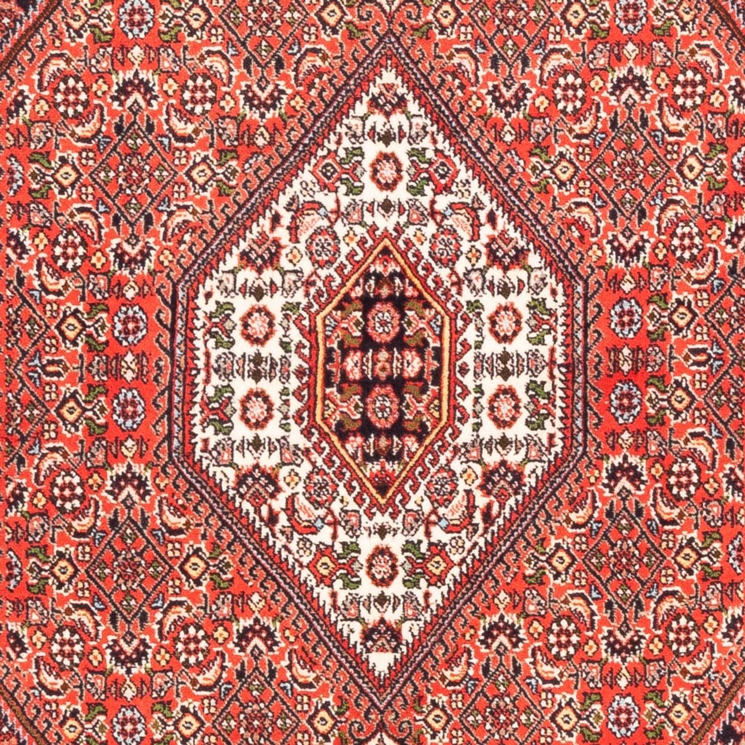 Persisk tæppe - Bijar - Royal - 178 x 110 cm - rød