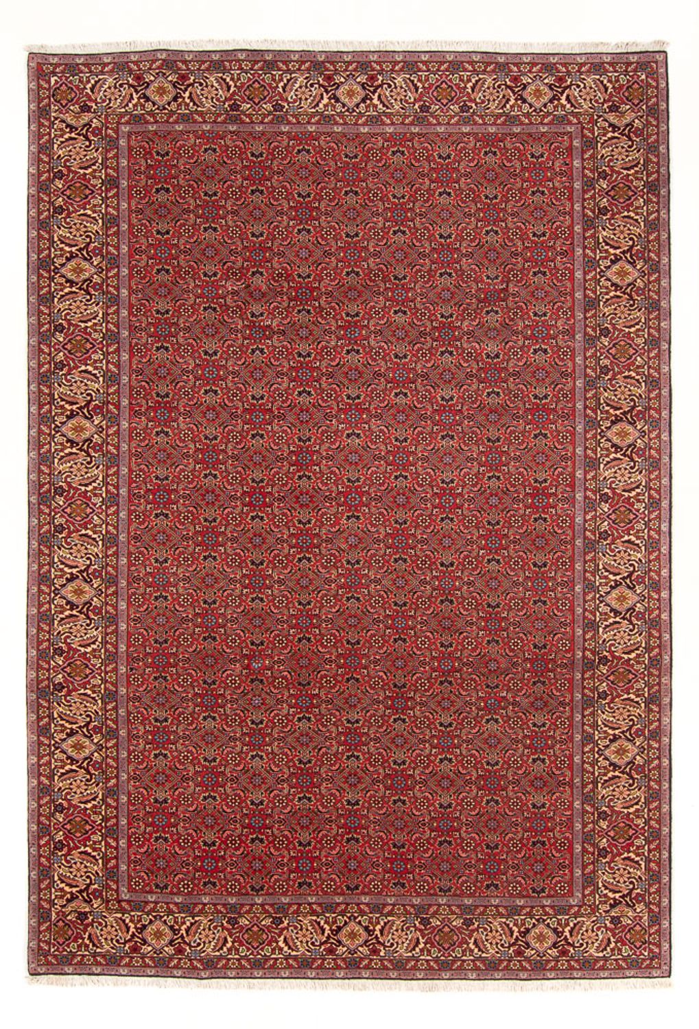 Persisk tæppe - Bijar - Royal - 296 x 197 cm - rød