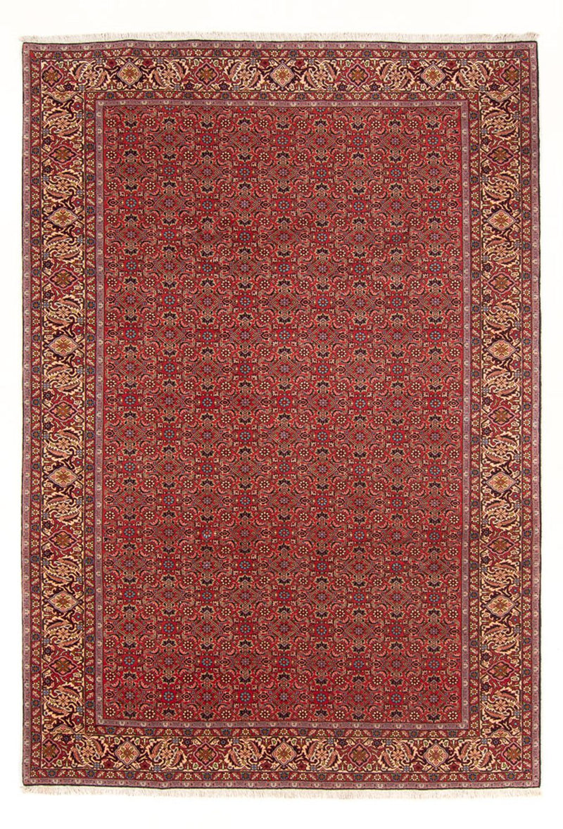 Persisk tæppe - Bijar - Royal - 296 x 197 cm - rød