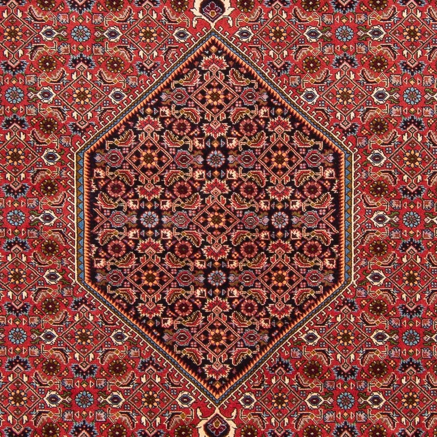 Persisk tæppe - Bijar - Royal - 301 x 200 cm - rød