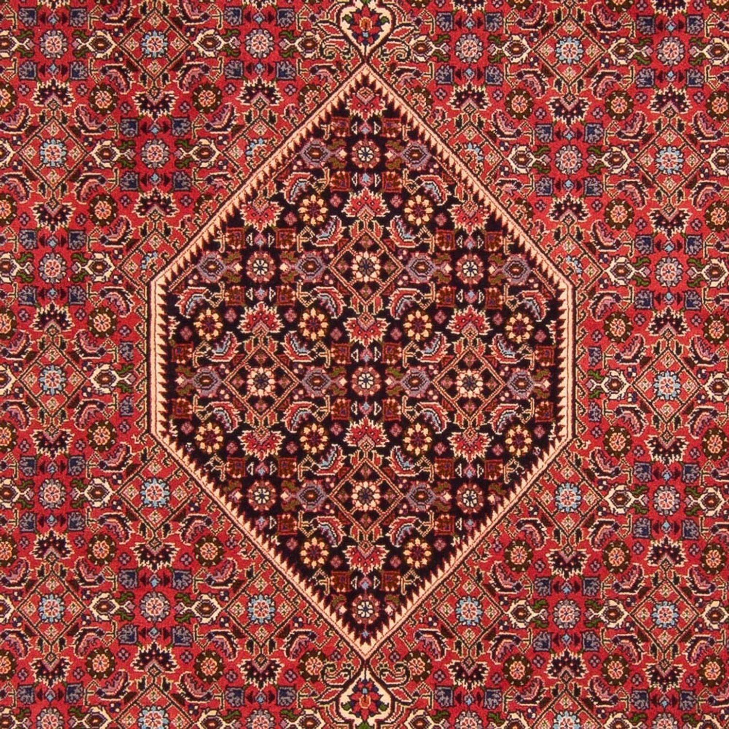 Persisk tæppe - Bijar - Royal - 300 x 200 cm - rød
