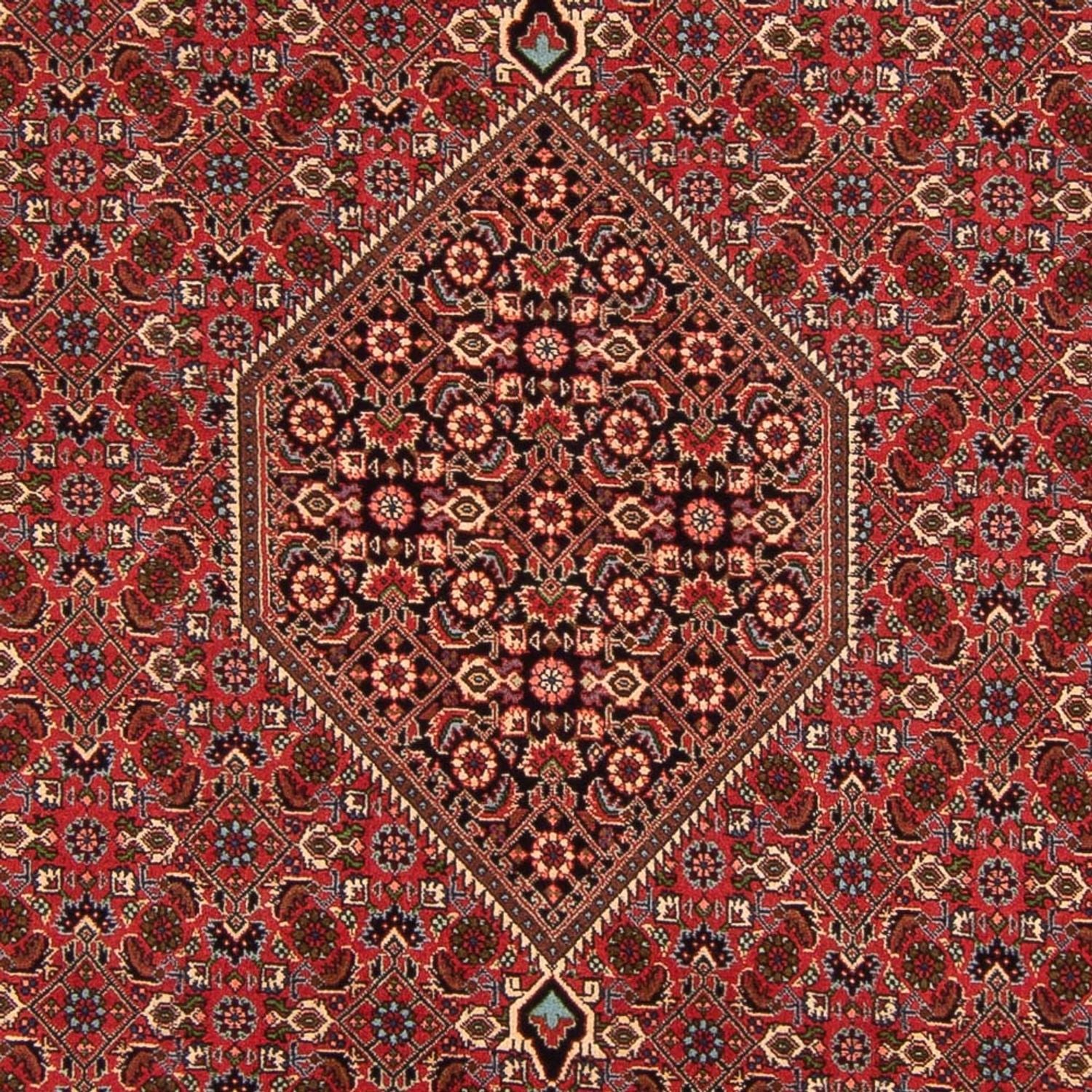Persisk tæppe - Bijar - Royal - 293 x 200 cm - rød