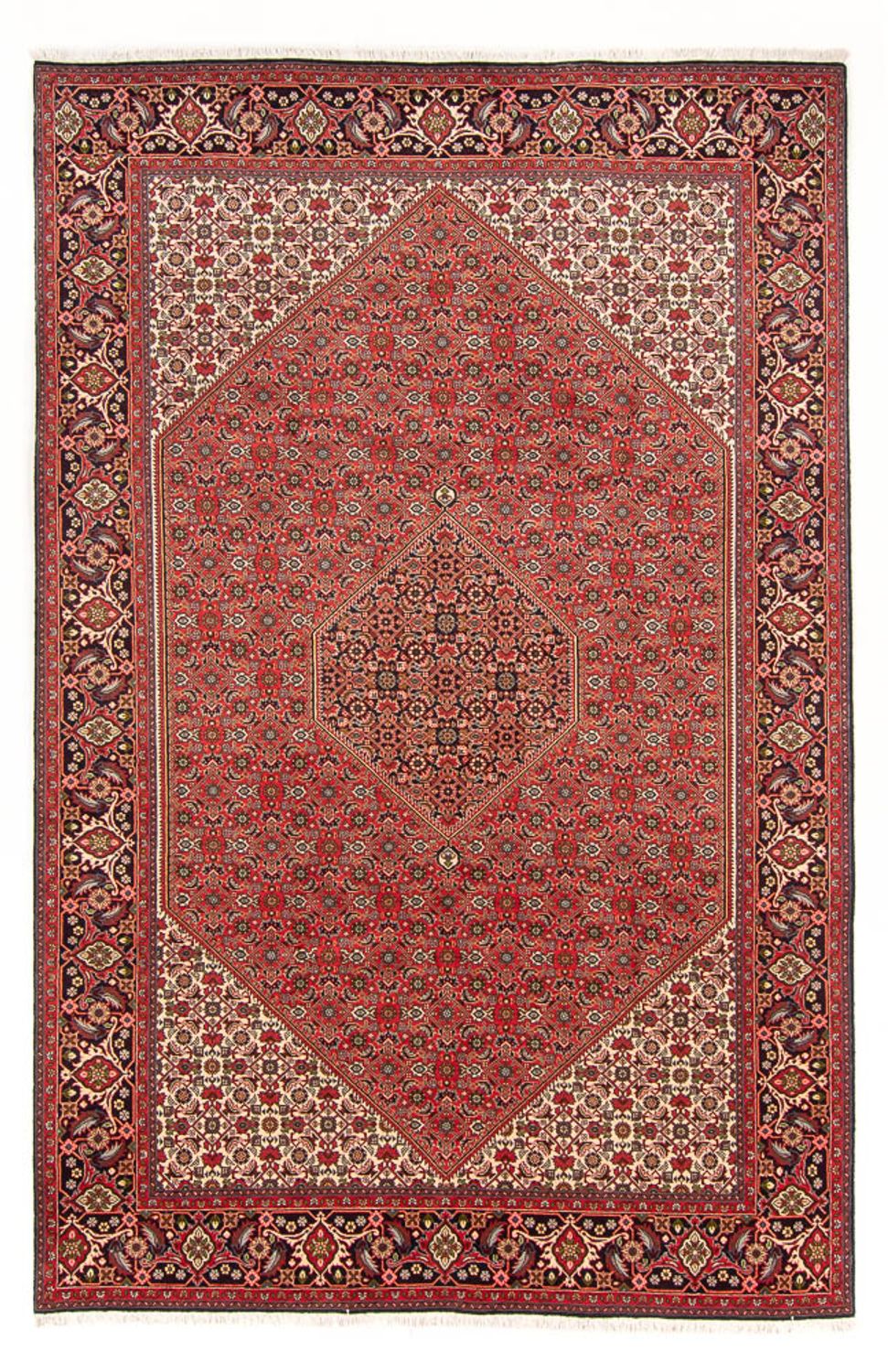 Persisk tæppe - Bijar - Royal - 298 x 197 cm - rød