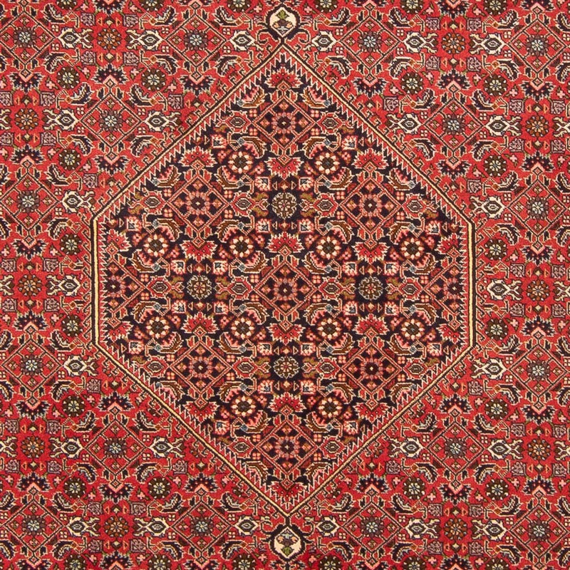 Persisk tæppe - Bijar - Royal - 298 x 197 cm - rød