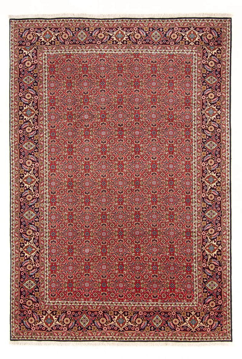 Persisk tæppe - Bijar - Royal - 290 x 198 cm - rød