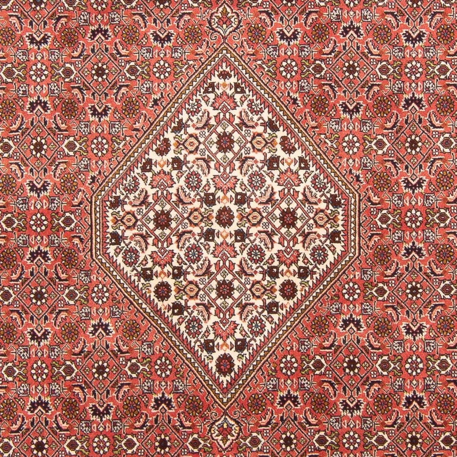 Persisk tæppe - Bijar - Royal - 300 x 202 cm - rød