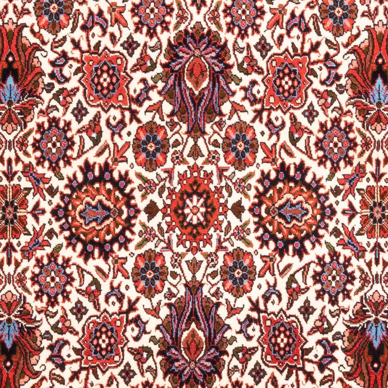 Persisk tæppe - Bijar - Royal - 177 x 110 cm - creme