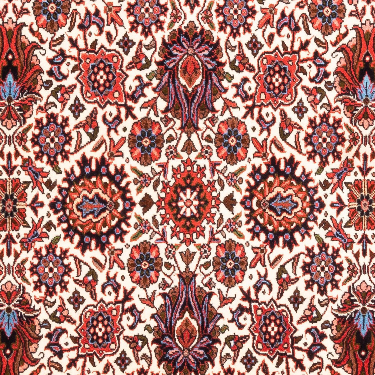 Persisk tæppe - Bijar - Royal - 177 x 110 cm - creme