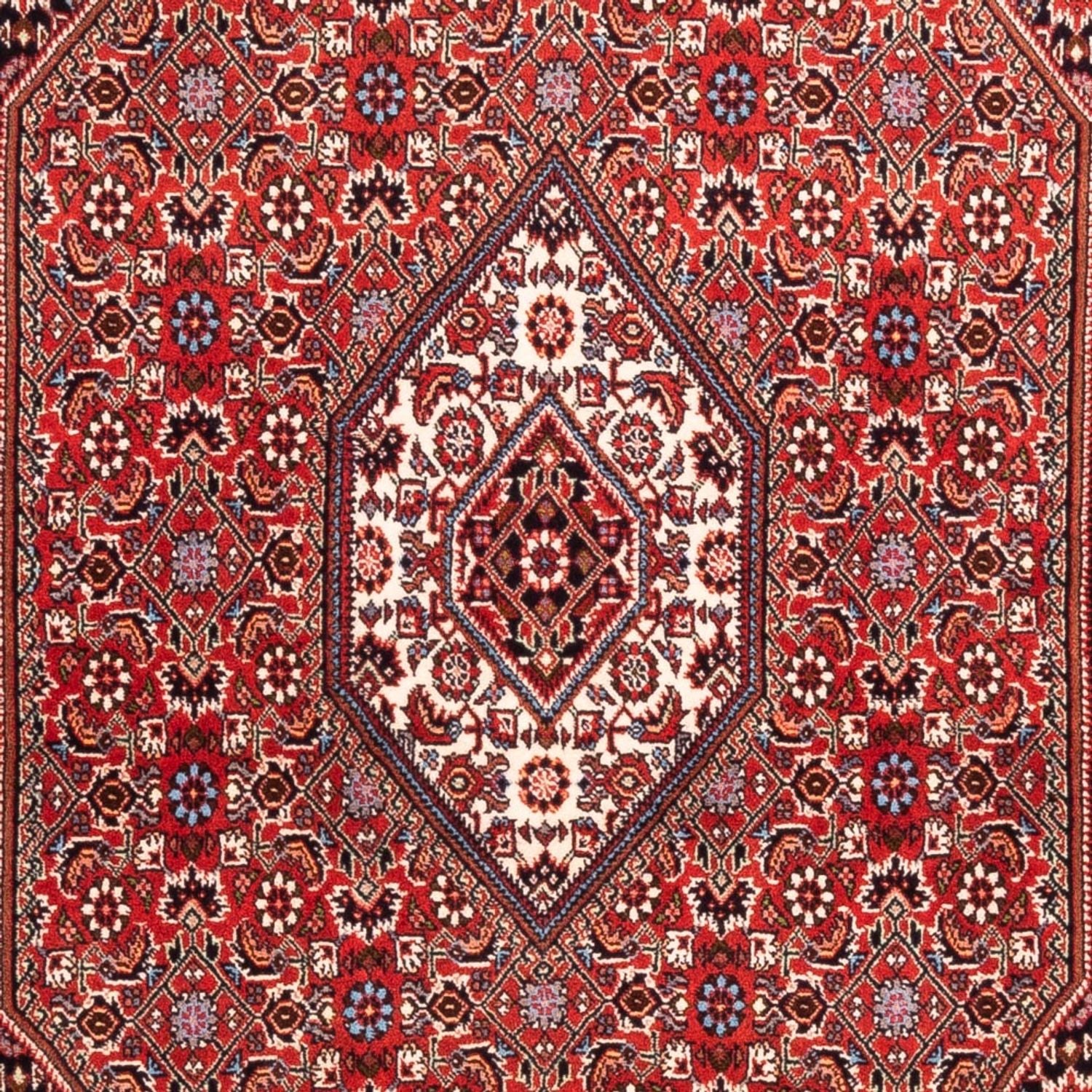 Persisk tæppe - Bijar - Royal - 184 x 108 cm - rød