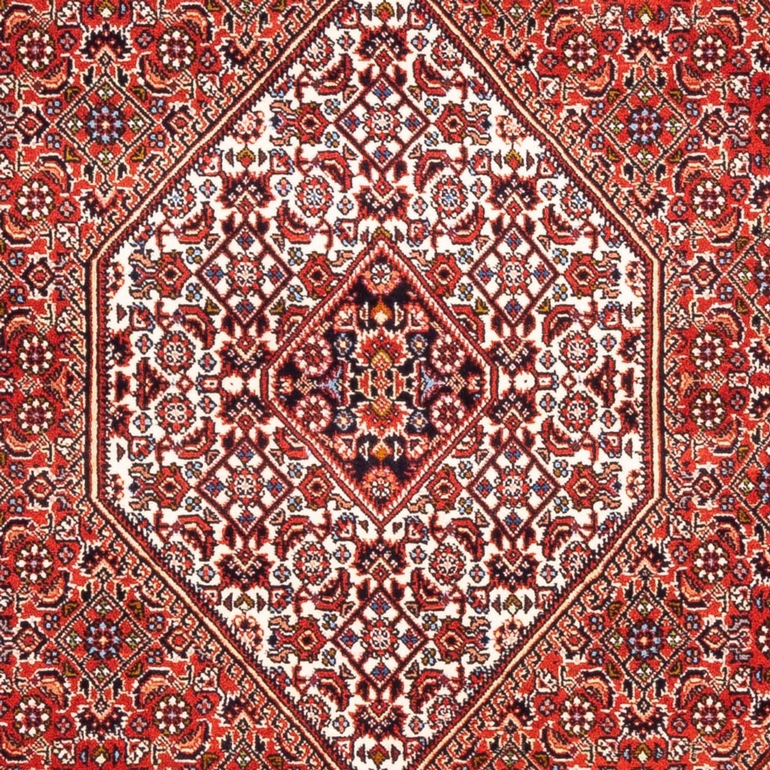 Persisk tæppe - Bijar - Royal - 172 x 107 cm - rød