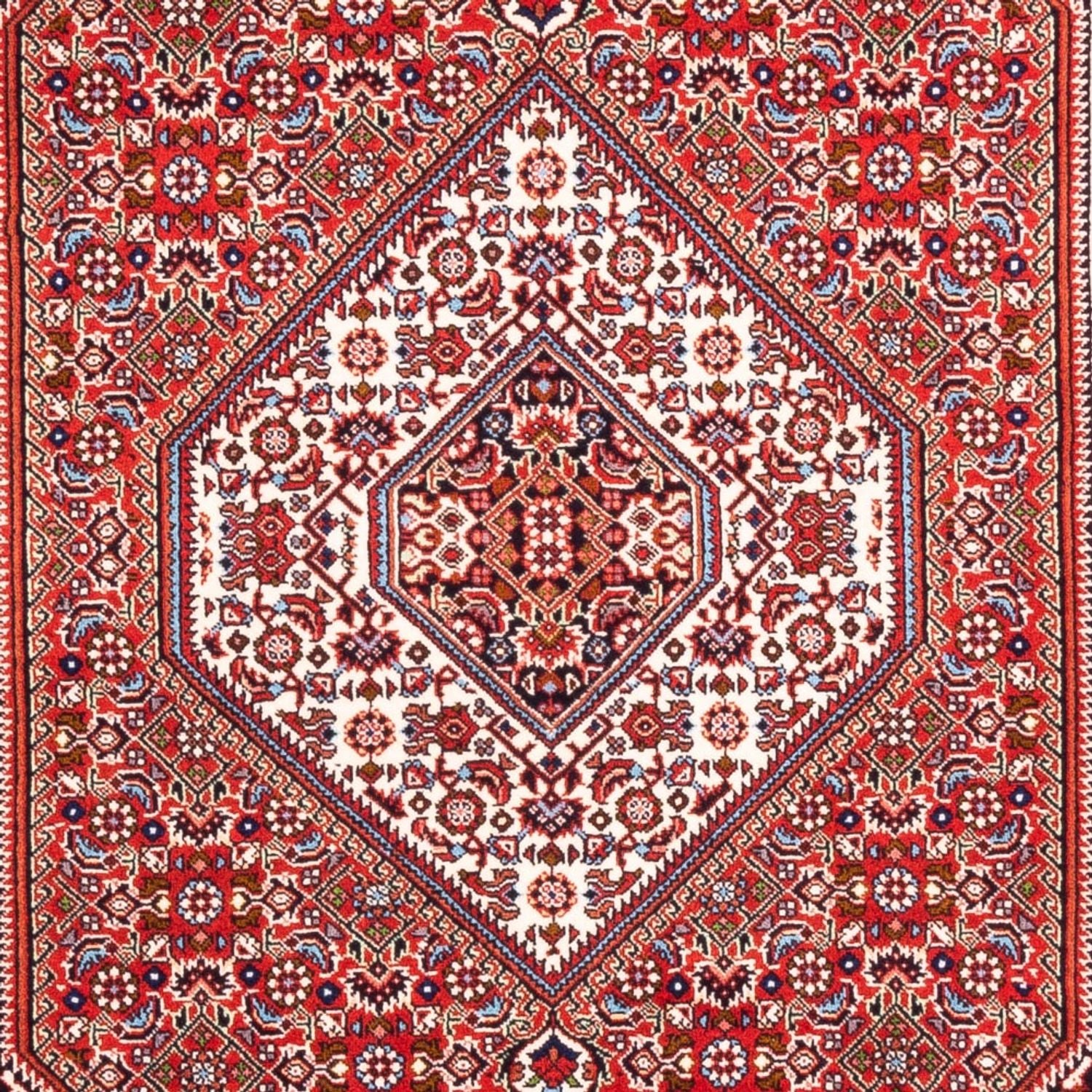 Persisk tæppe - Bijar - Royal - 168 x 109 cm - rød