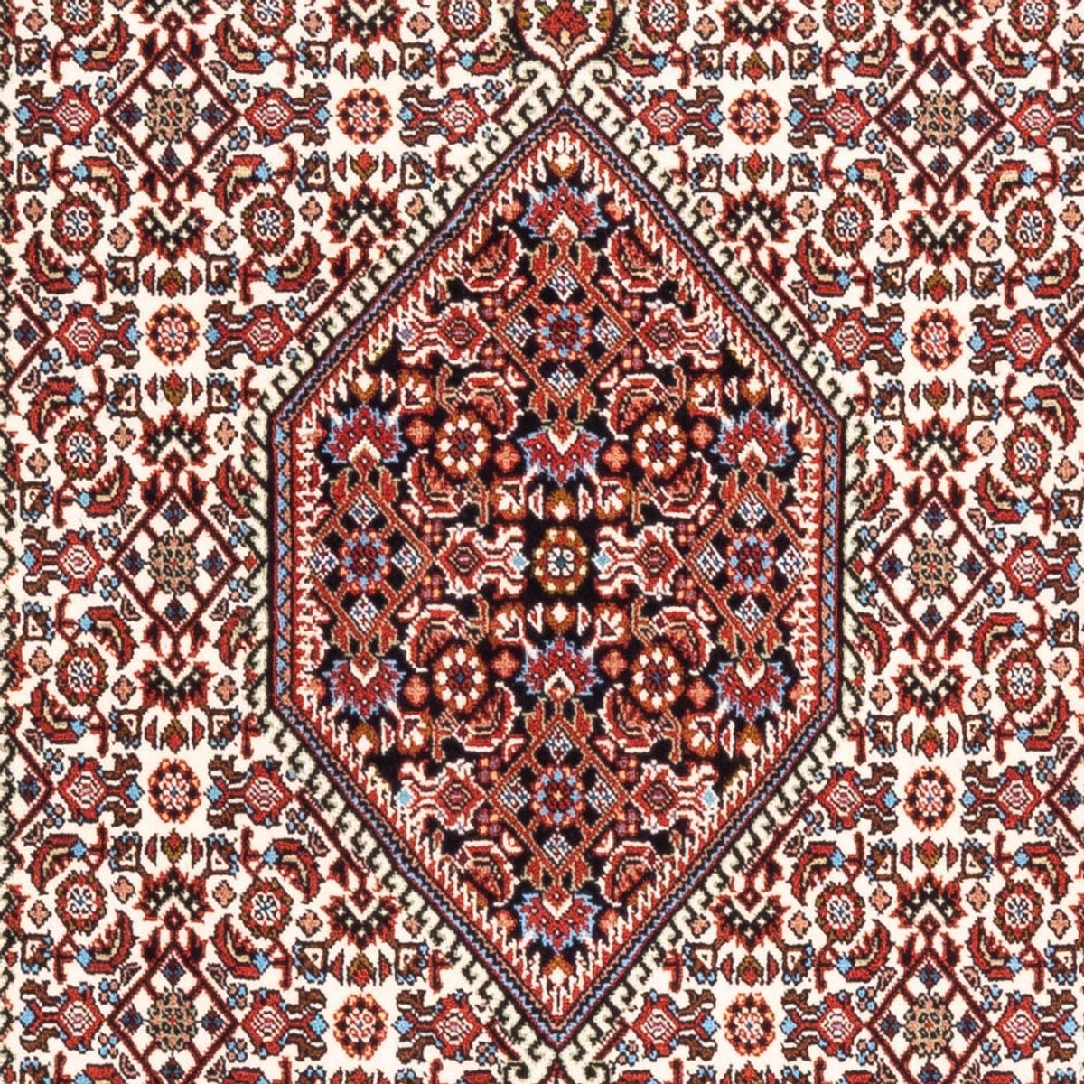 Persisk tæppe - Bijar - Royal - 185 x 106 cm - creme