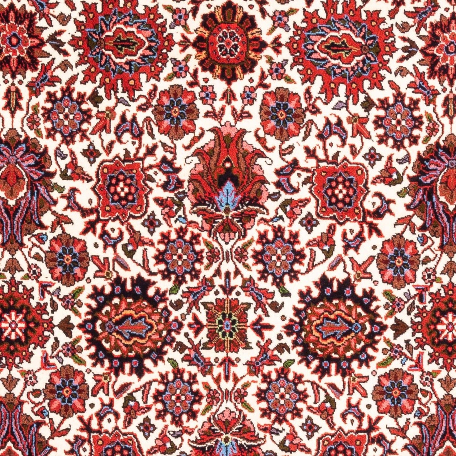 Persisk tæppe - Bijar - Royal - 177 x 110 cm - creme