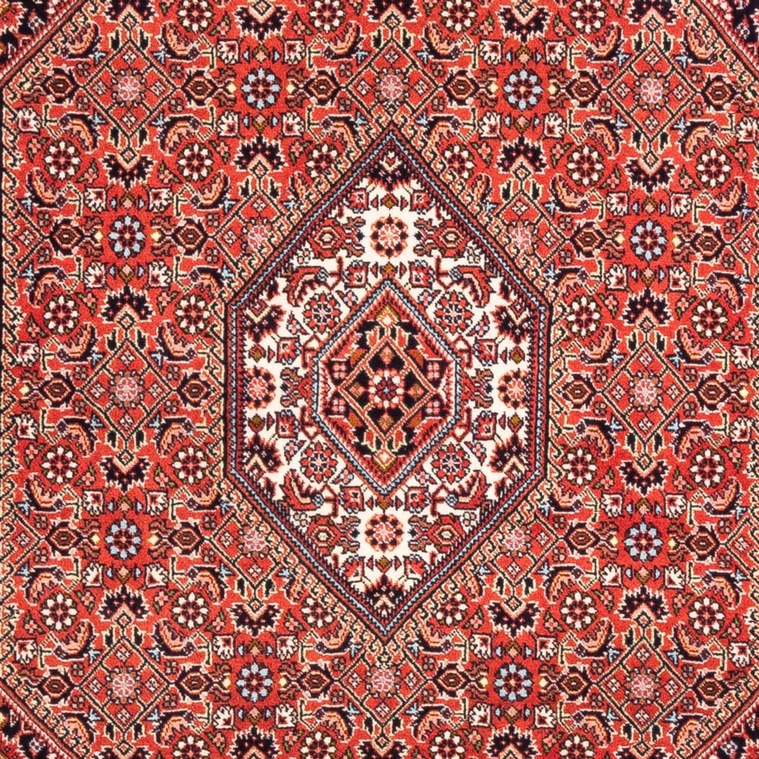 Persisk tæppe - Bijar - Royal - 166 x 110 cm - rød