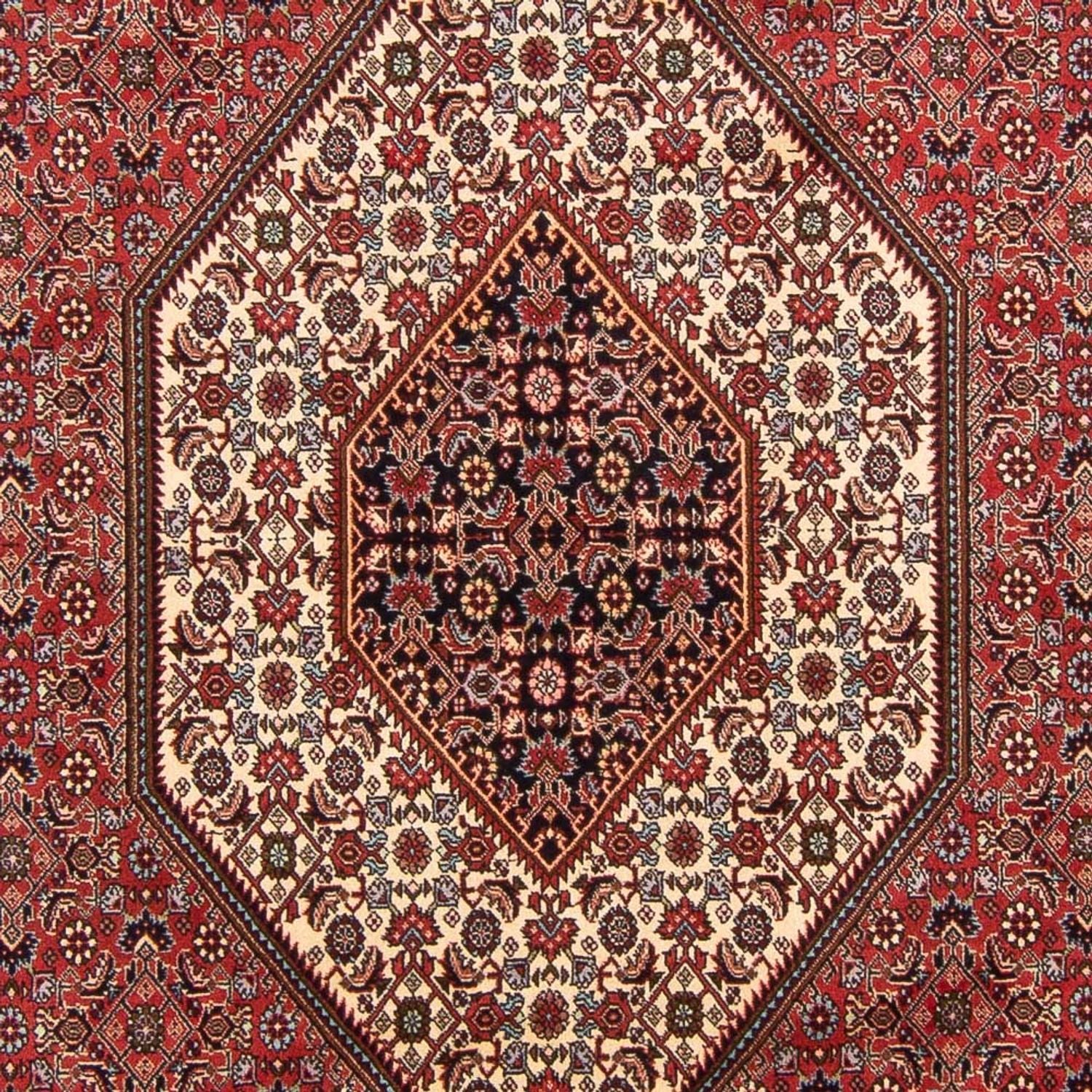 Persisk tæppe - Bijar - Royal - 305 x 198 cm - rød