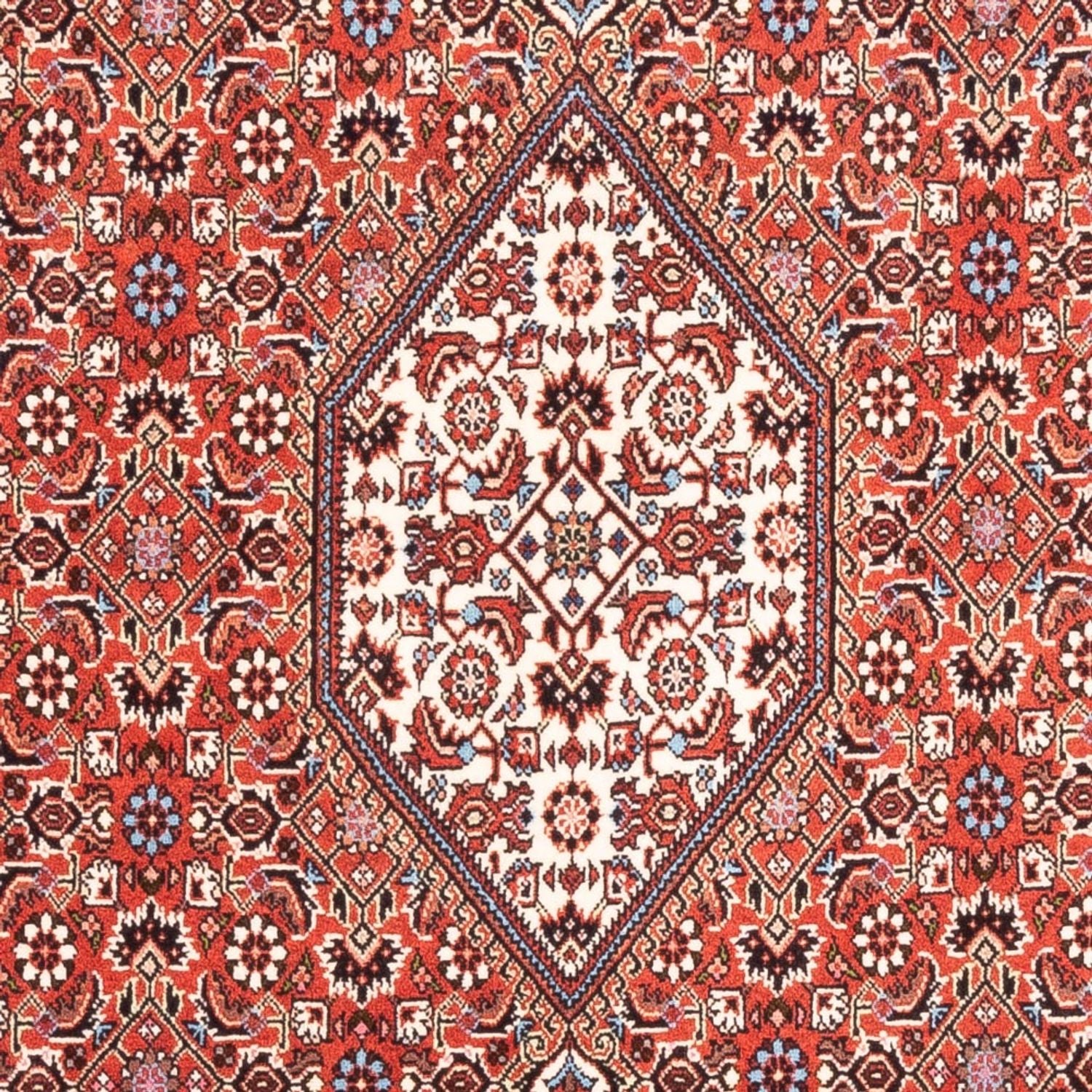 Persisk tæppe - Bijar - Royal - 187 x 107 cm - rød