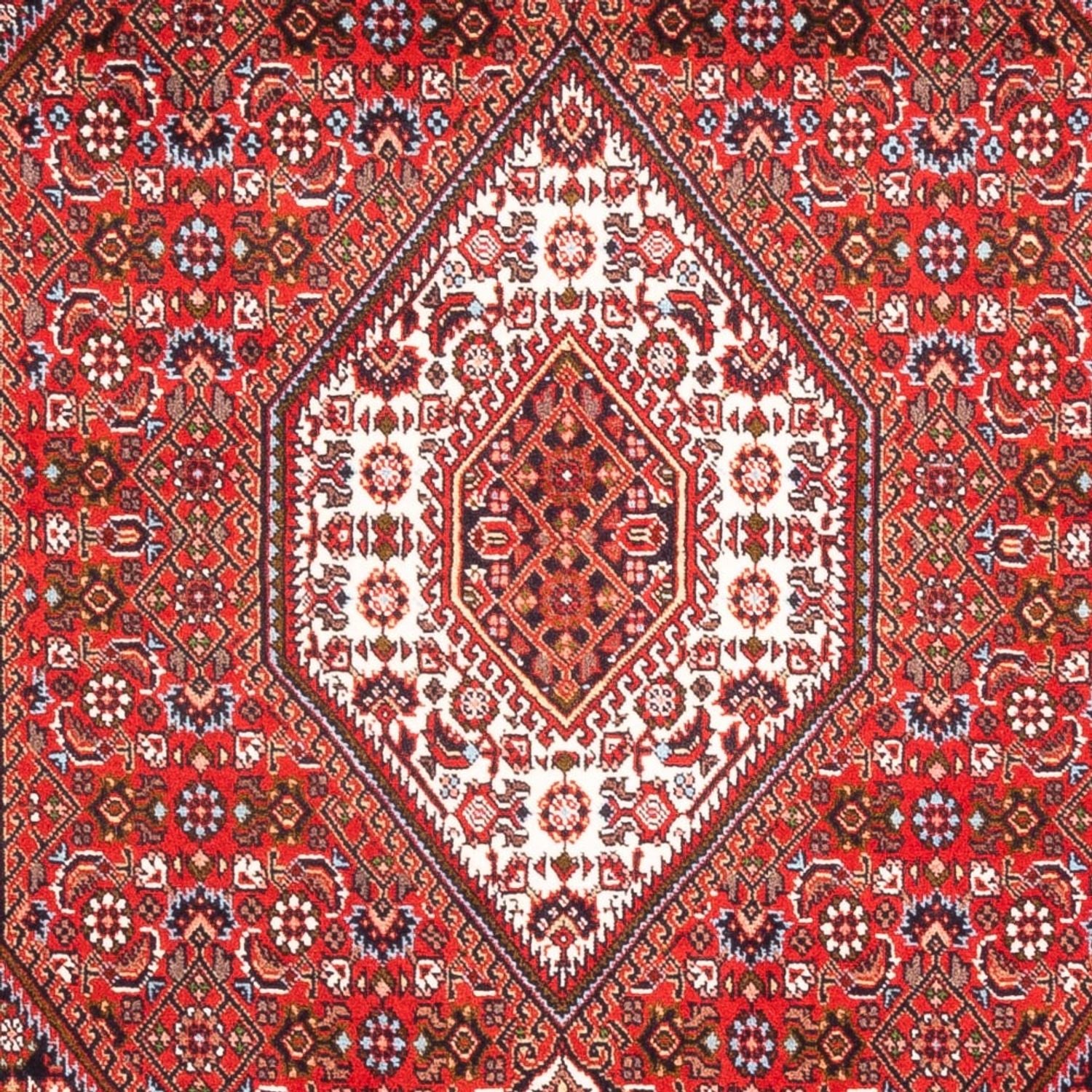 Persisk tæppe - Bijar - Royal - 183 x 110 cm - rød