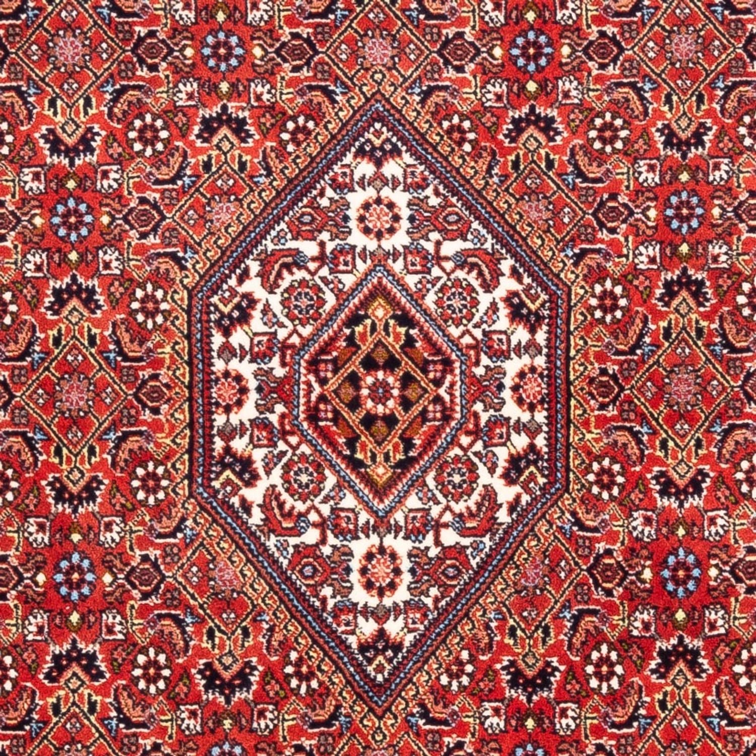 Persisk tæppe - Bijar - Royal - 174 x 108 cm - rød