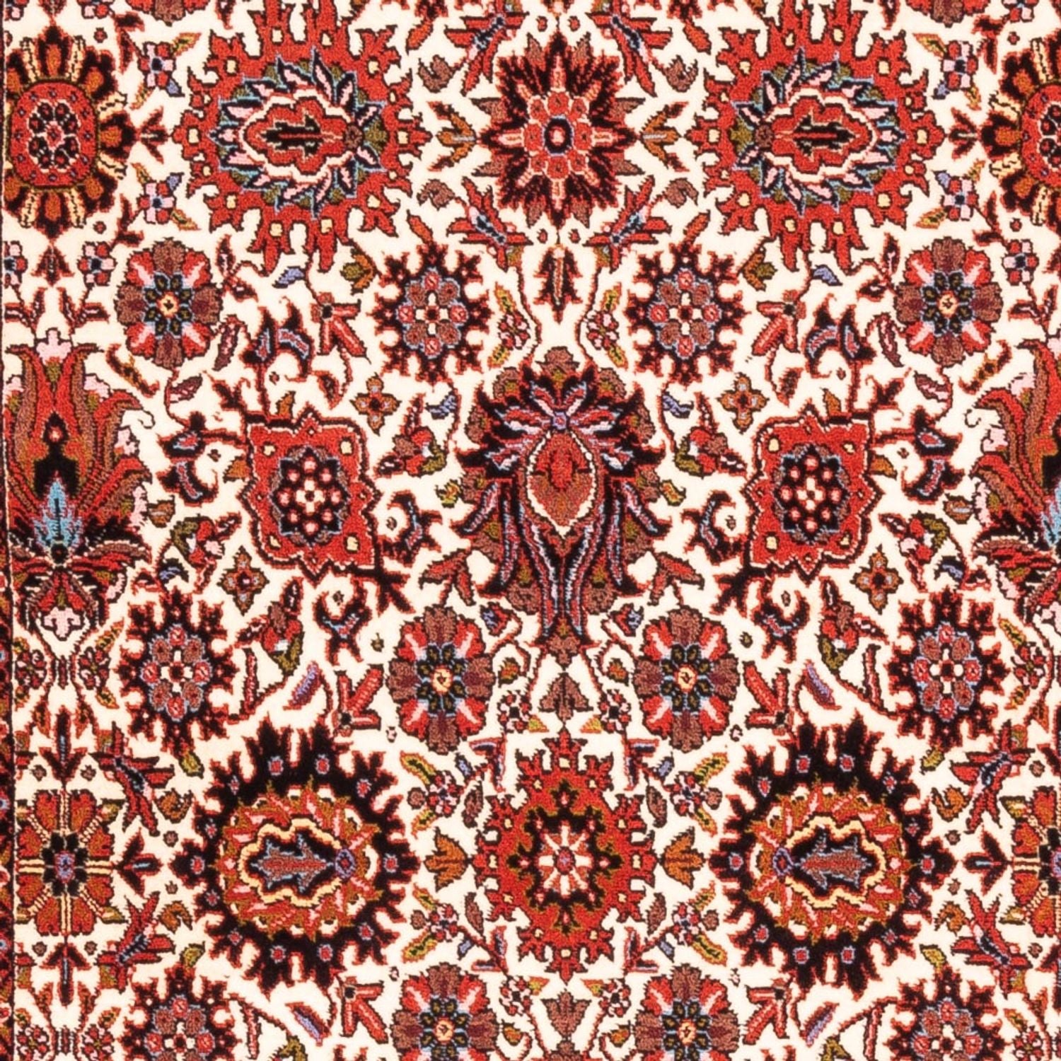 Løber Persisk tæppe - Bijar - Royal - 183 x 104 cm - creme