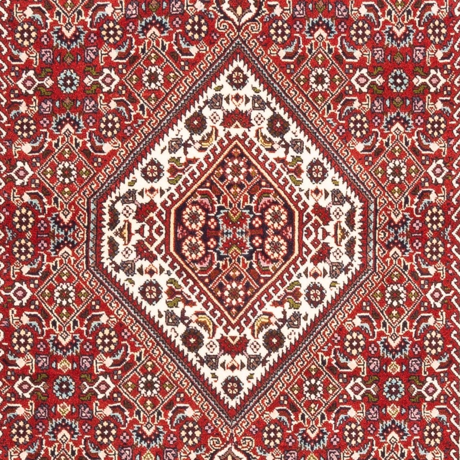 Persisk tæppe - Bijar - Royal - 174 x 107 cm - rød