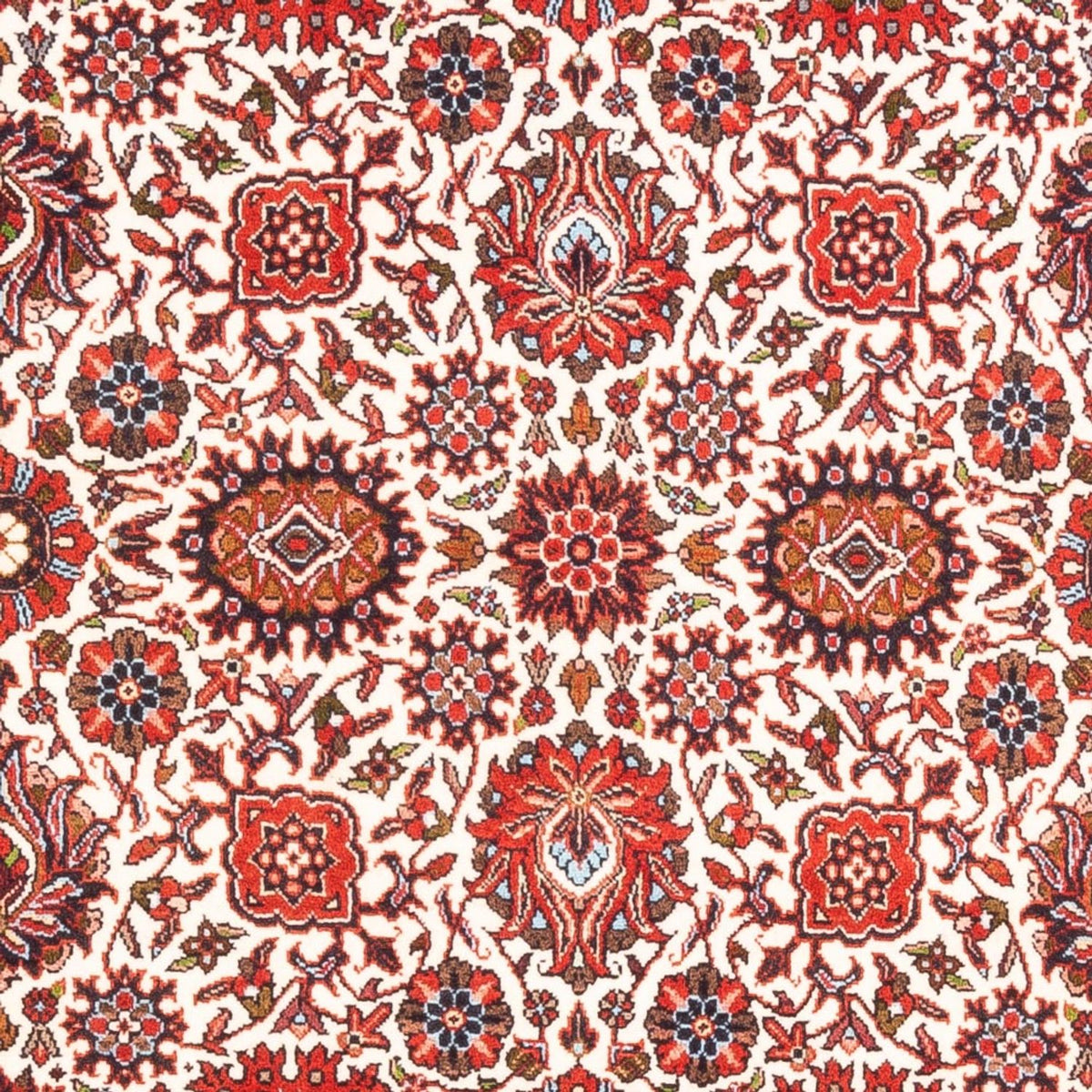 Persisk tæppe - Bijar - Royal - 177 x 110 cm - creme