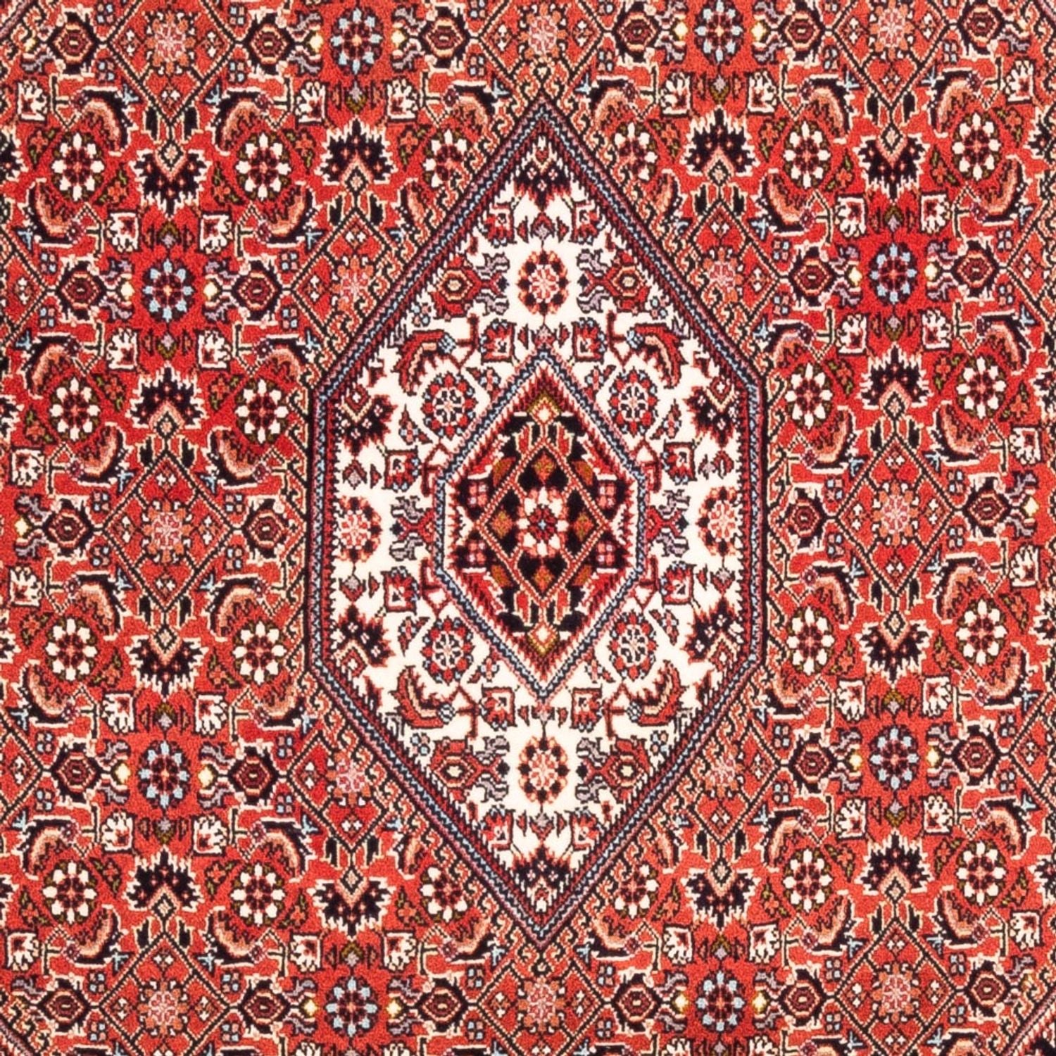 Persisk tæppe - Bijar - Royal - 188 x 112 cm - rød