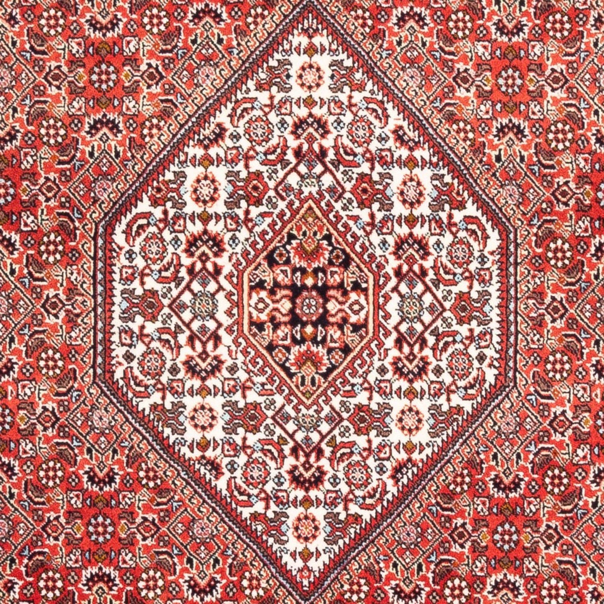 Persisk tæppe - Bijar - Royal - 174 x 108 cm - rød