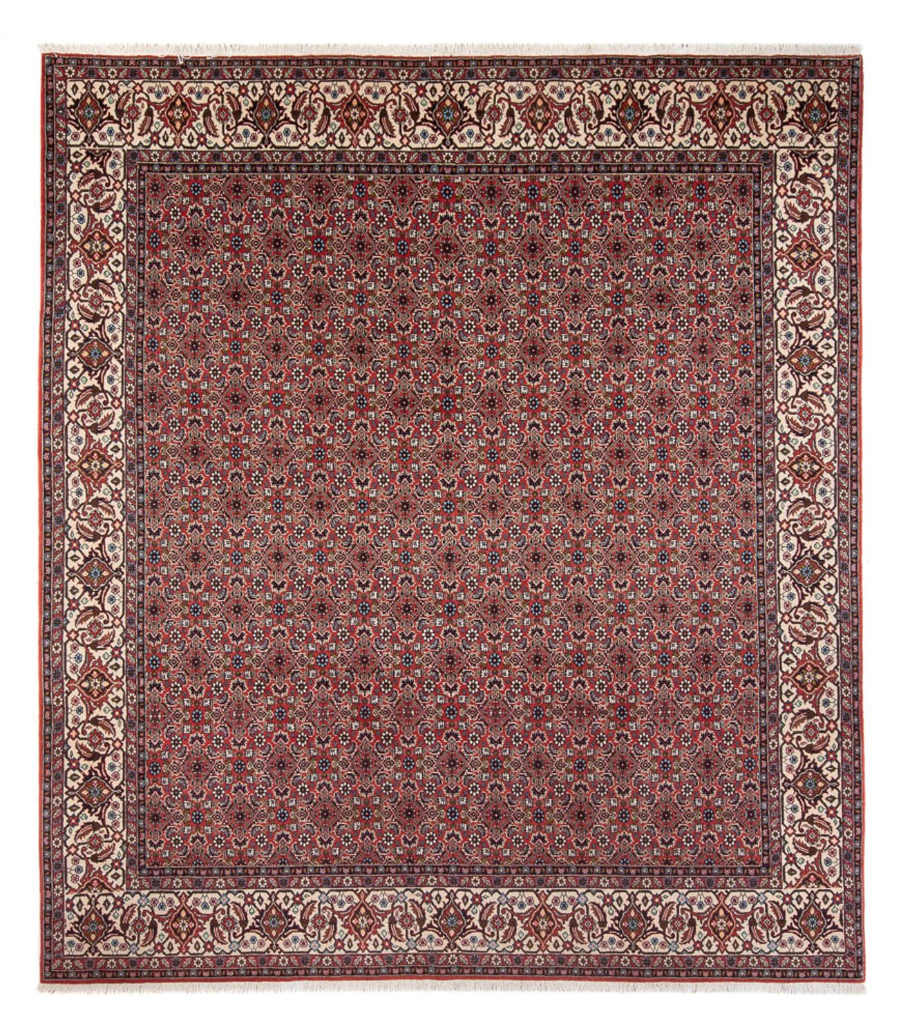 Persisk tæppe - Bijar - Royal - 296 x 248 cm - mørkerød
