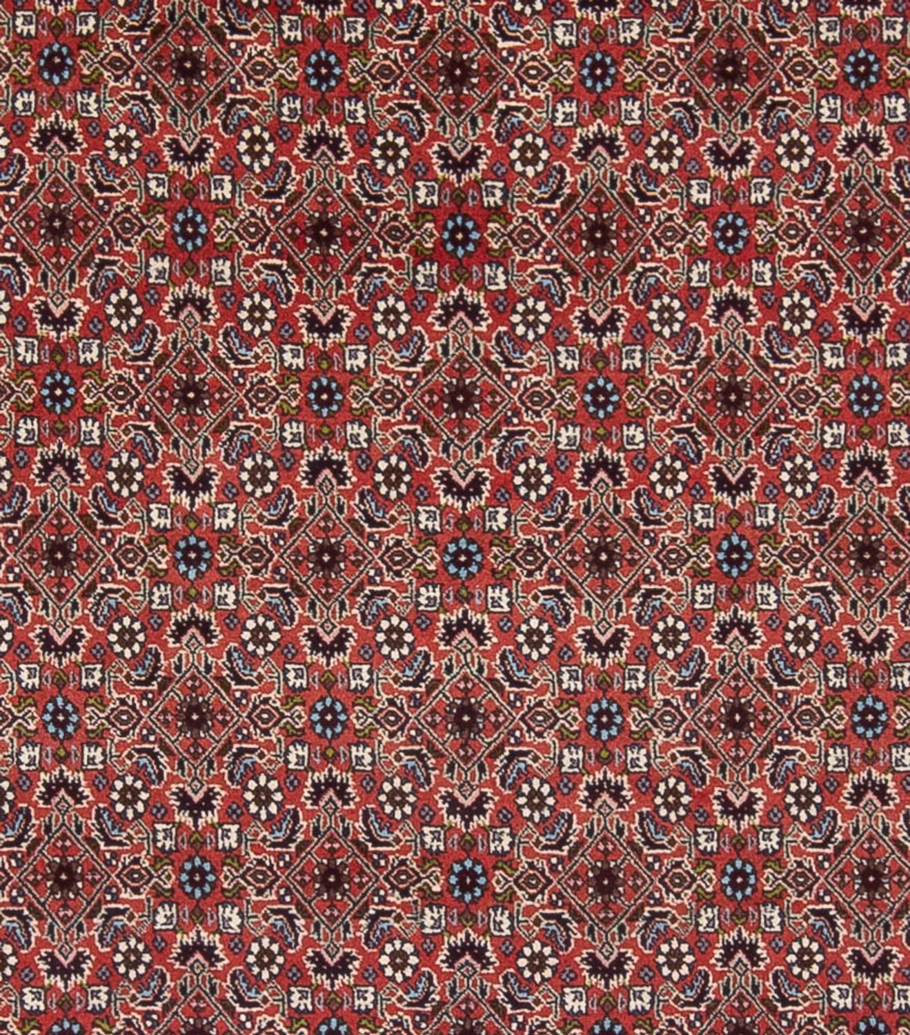 Persisk tæppe - Bijar - Royal - 296 x 248 cm - mørkerød