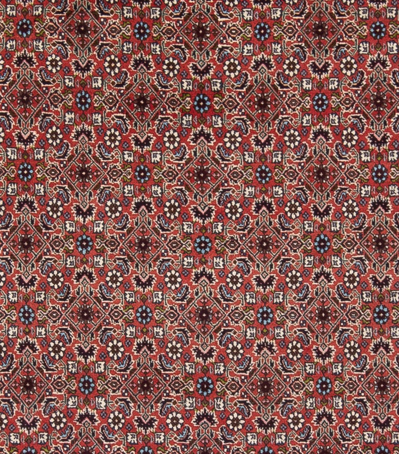Persisk tæppe - Bijar - Royal - 296 x 248 cm - mørkerød