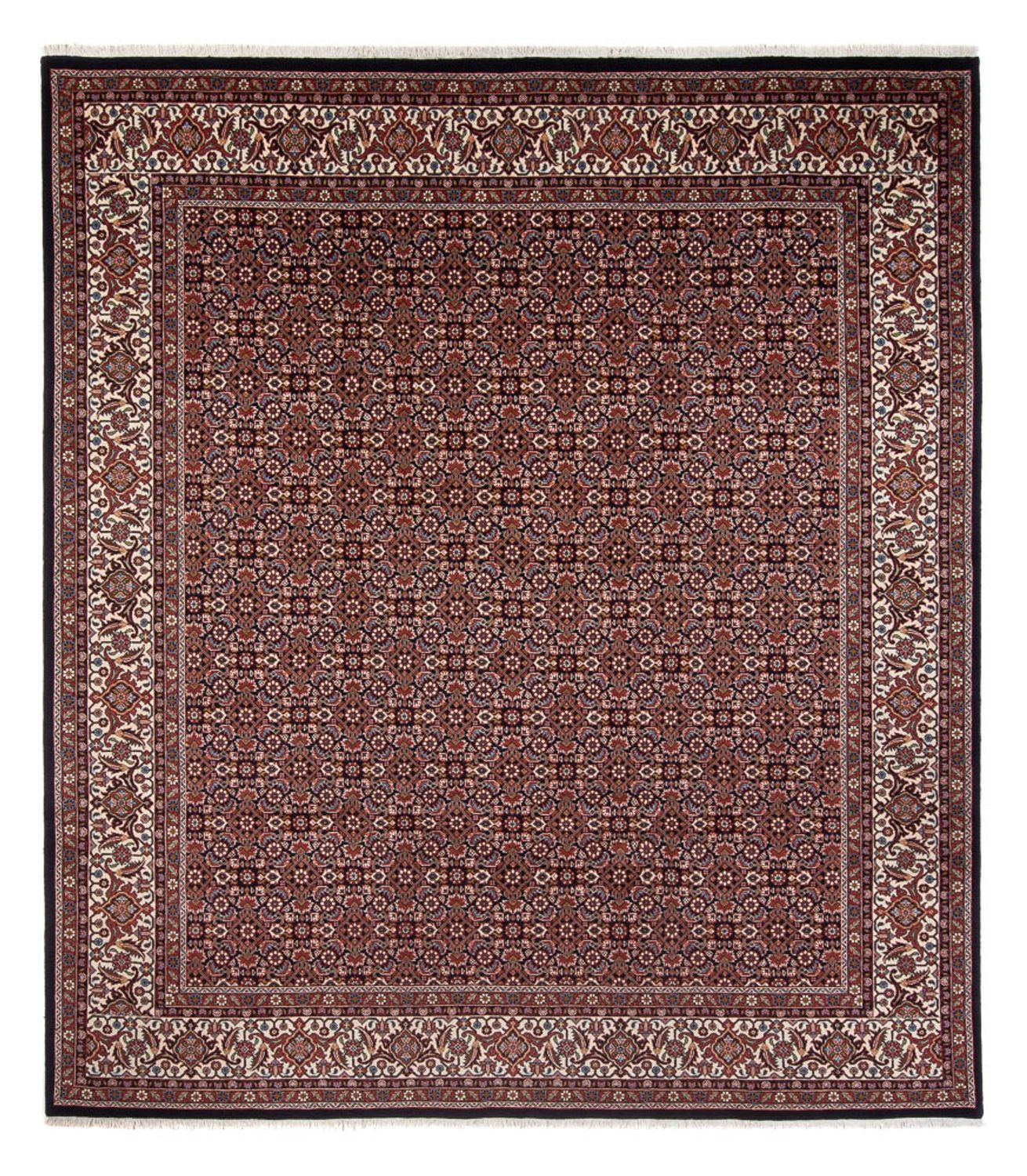 Persisk tæppe - Bijar - Royal - 300 x 248 cm - mørkeblå
