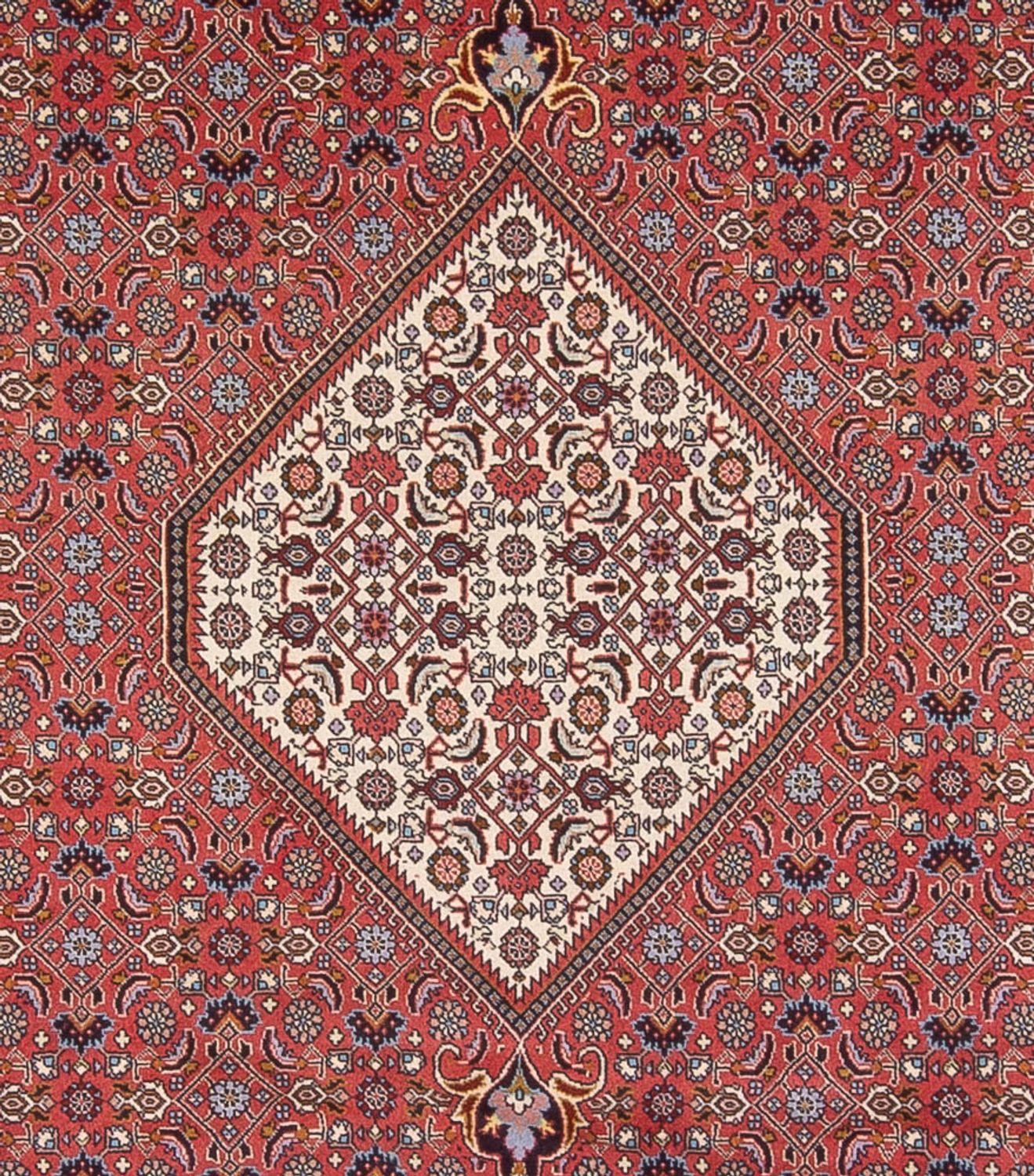 Persisk tæppe - Bijar - Royal - 337 x 250 cm - mørkerød