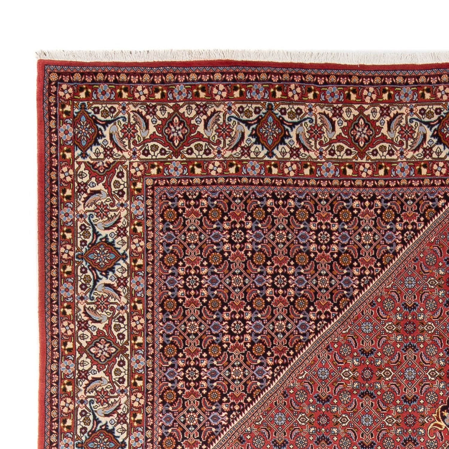 Persisk tæppe - Bijar - Royal - 337 x 250 cm - mørkerød
