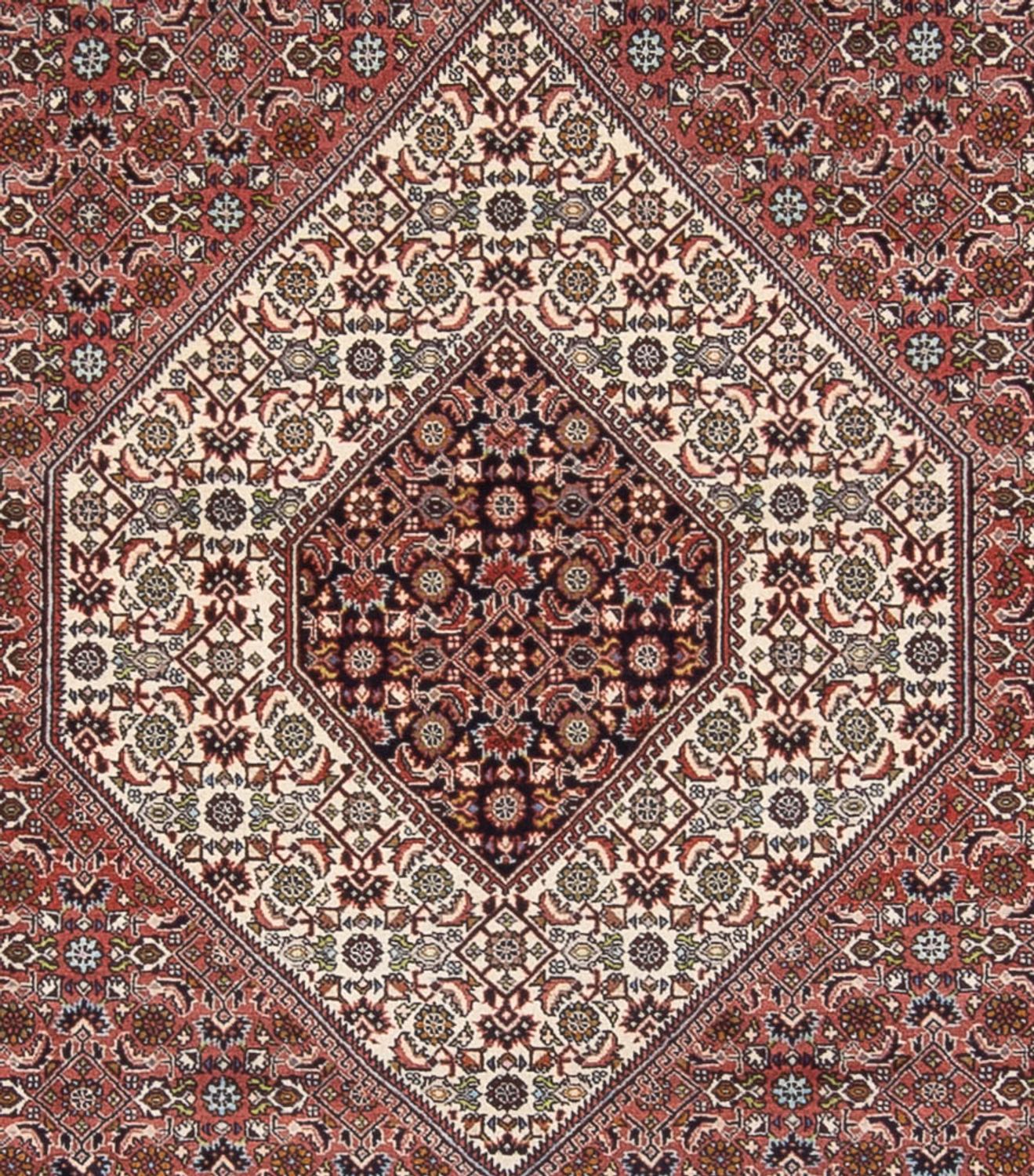 Persisk tæppe - Bijar - Royal - 344 x 247 cm - rust