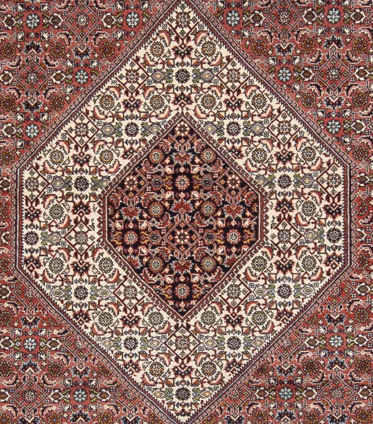 Persisk tæppe - Bijar - Royal - 344 x 247 cm - rust