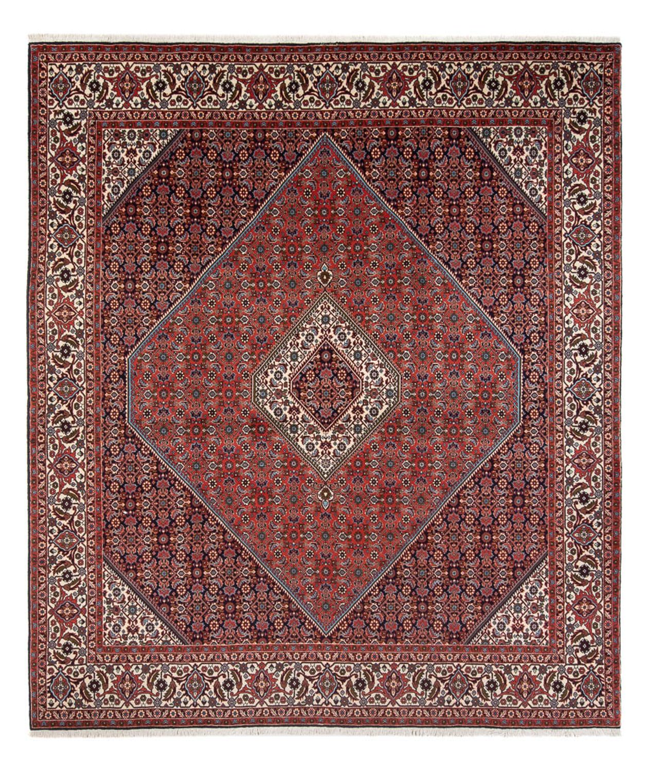 Persisk tæppe - Bijar - Royal - 290 x 243 cm - rust