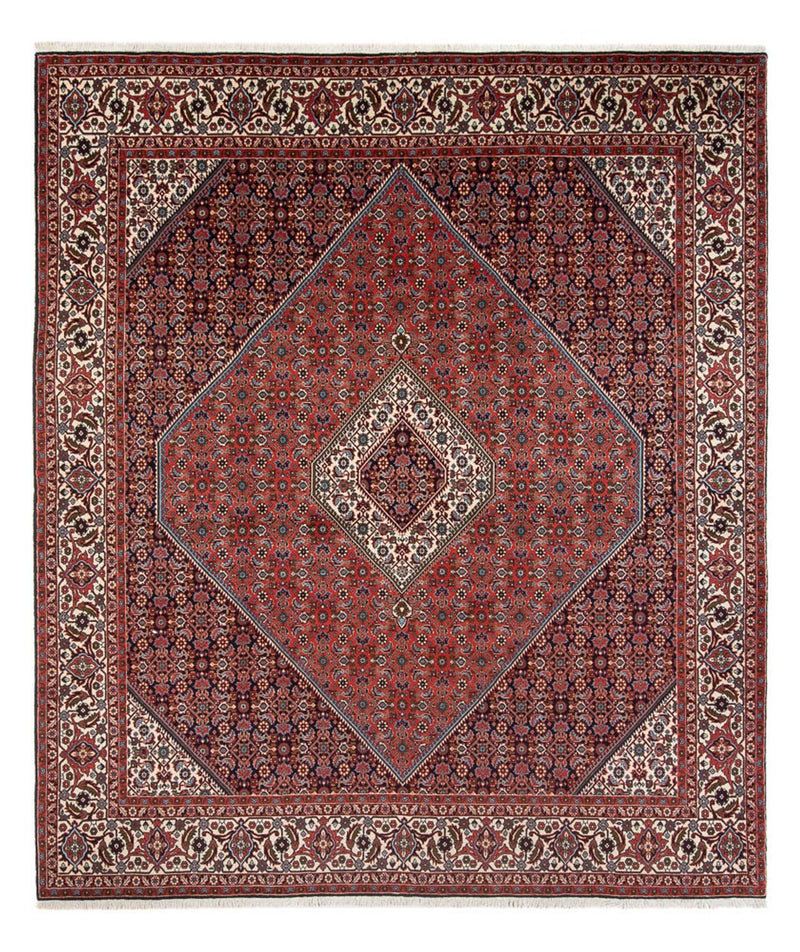 Persisk tæppe - Bijar - Royal - 290 x 243 cm - rust