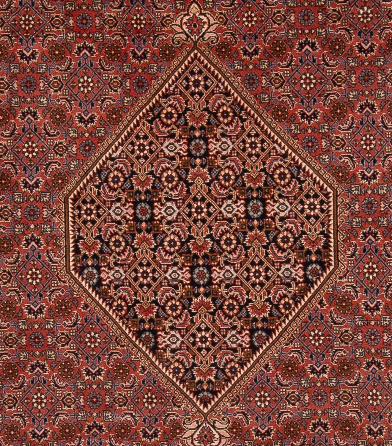 Persisk tæppe - Bijar - Royal - 344 x 250 cm - rust