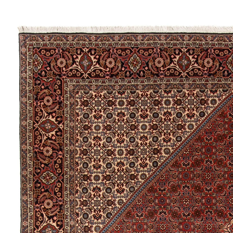 Persisk tæppe - Bijar - Royal - 344 x 250 cm - rust