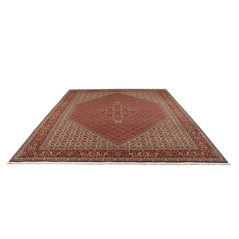 Persisk tæppe - Bijar - Royal - 344 x 250 cm - rust