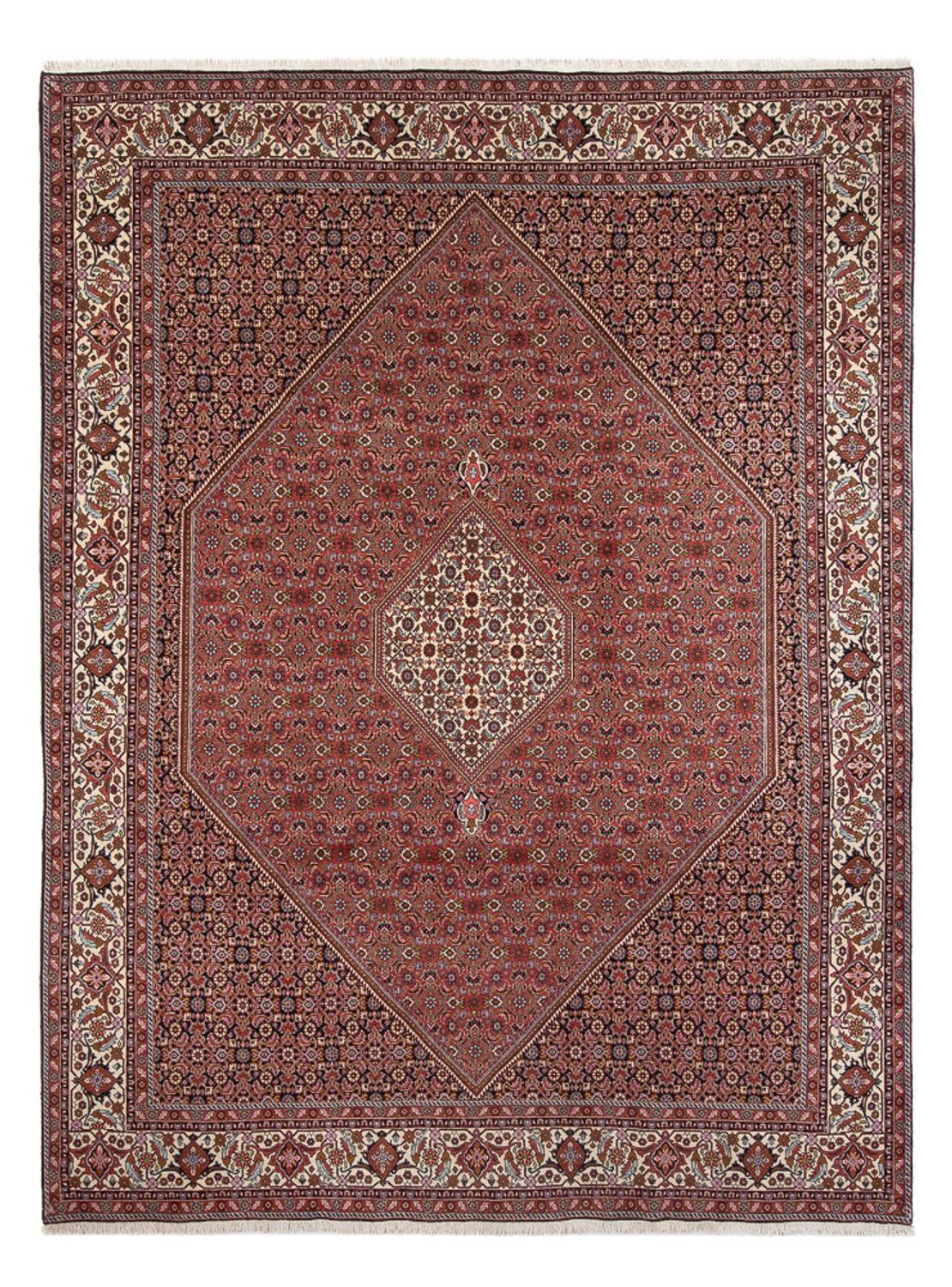 Persisk tæppe - Bijar - Royal - 343 x 247 cm - rust